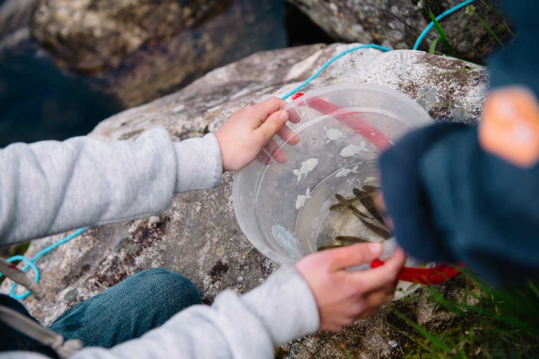 Barnas fiskefestival ørekyte