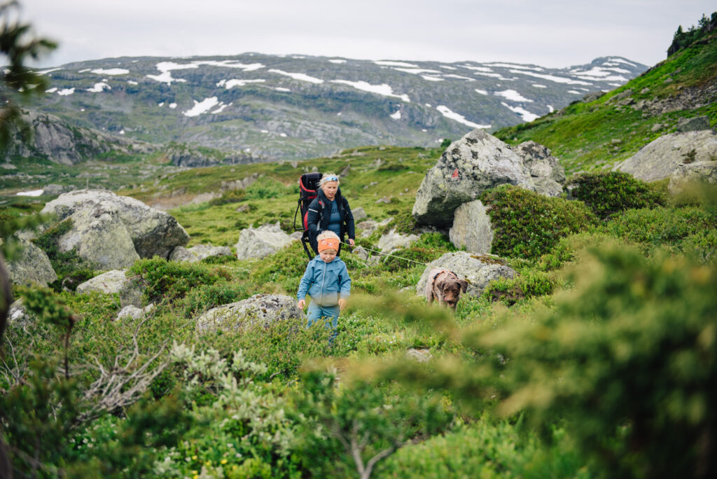 Hermodshola vågslid