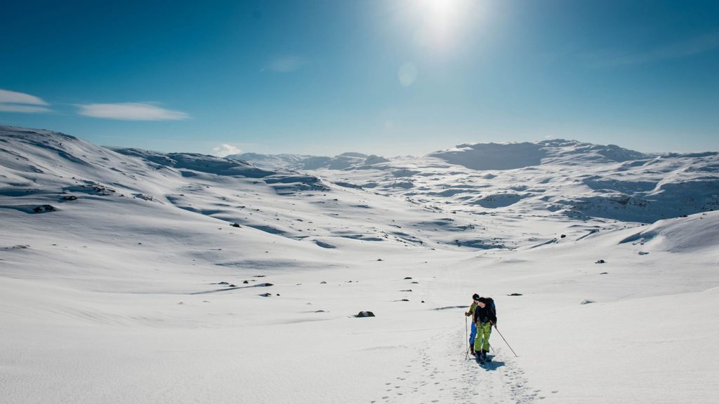 Stavsnuten Haukelifjell